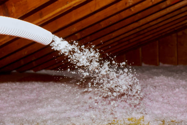 Insulation Repair Services in Laguna Heights, TX