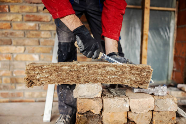 Best Affordable Insulation Services  in Laguna Heights, TX